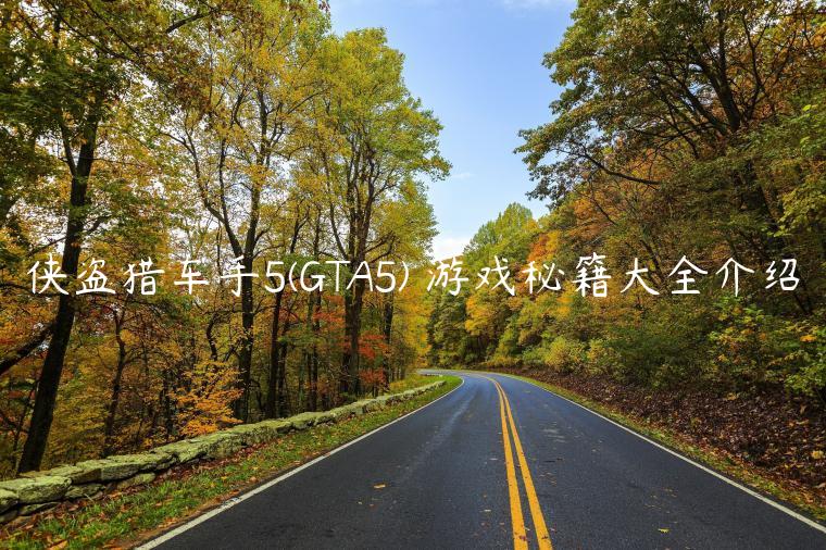 侠盗猎车手5(GTA5) 游戏秘籍大全介绍