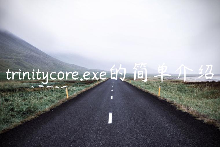 trinitycore.exe的简单介绍