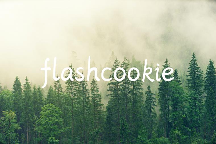 flashcookie