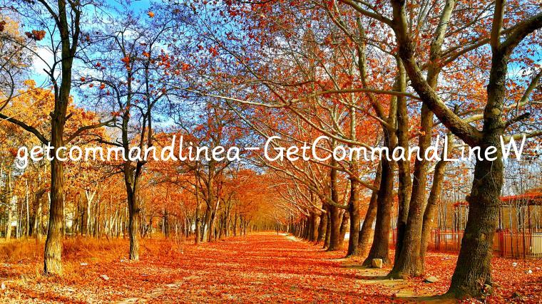 getcommandlinea-GetCommandLineW