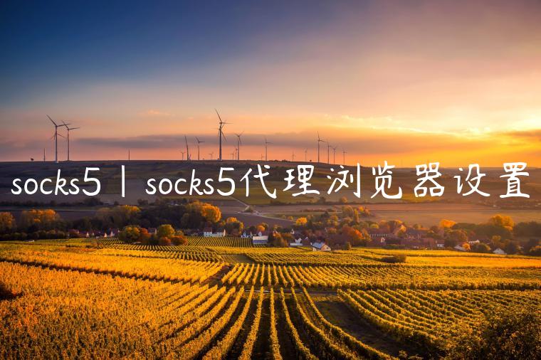 socks5|socks5代理浏览器设置