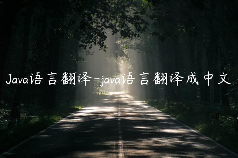 Java语言翻译-java语言翻译成中文
