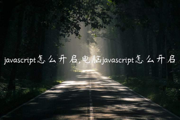 javascript怎么开启,电脑javascript怎么开启