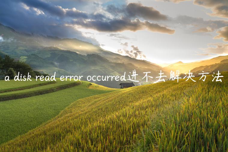 a disk read error occurred进不去解决方法