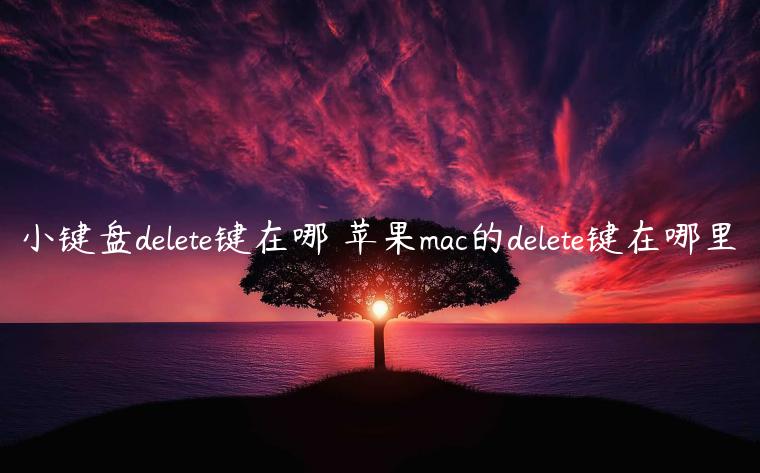 小键盘delete键在哪 苹果mac的delete键在哪里